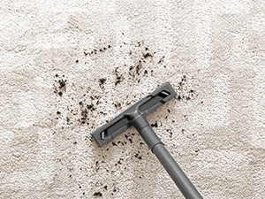 PRO Tips for How to Deal With Carpet Odors