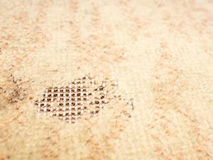 Carpet Cleaning vs. Carpet Restoration